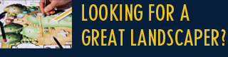 Northwest Indiana Landscaper Directory