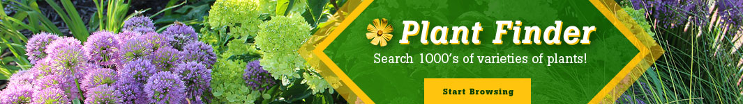 Plant Finder - Browse Plant Library