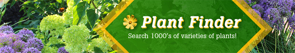 Plant Finder