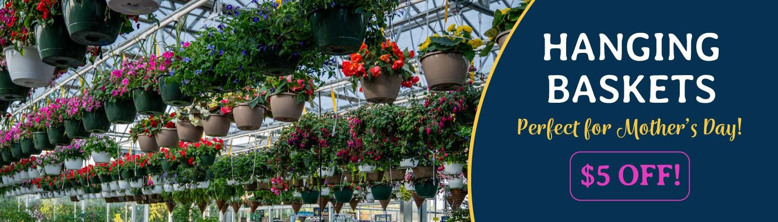 Hanging Baskets Mothers Day