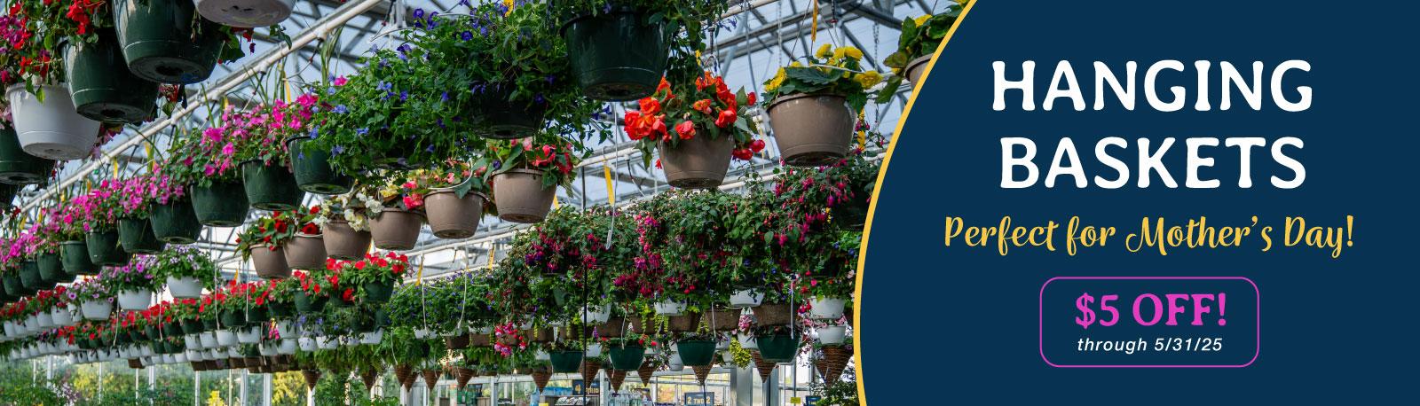 Hanging Baskets