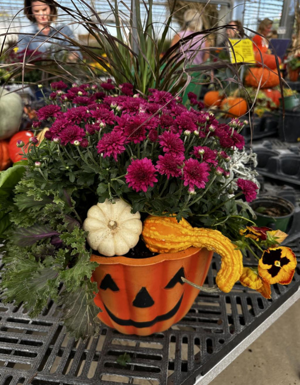 Fall Planter 2 2024