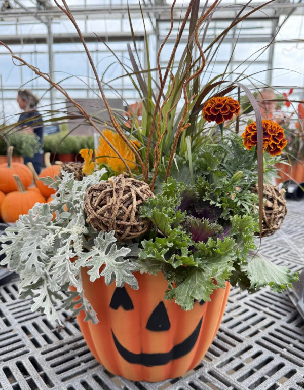 Fall Planter 2025
