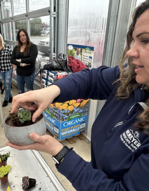 Succulent Planter Workshop 2