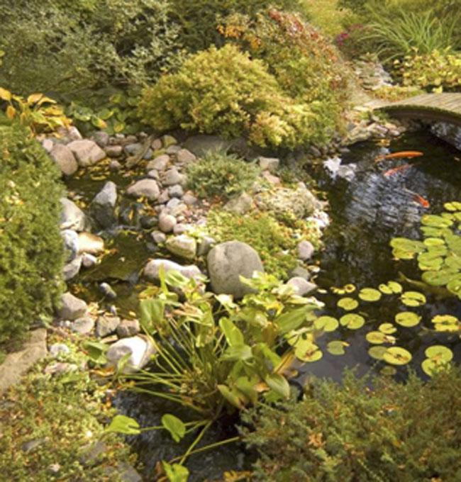 Water Features Water Features