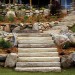 Steps