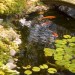 Water Feature