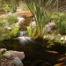 Water Feature