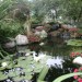 Water Feature