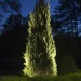 Cast Lighting