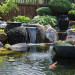 water feature 