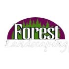 Forest Landscaping Forest Landscaping