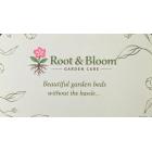 Root & Bloom Root & Bloom