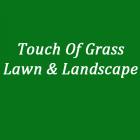 Touch of Grass