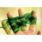 String Algae Control