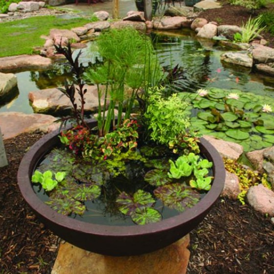 Aquatic Patio Ponds