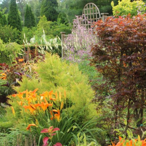 Plants & Flowers