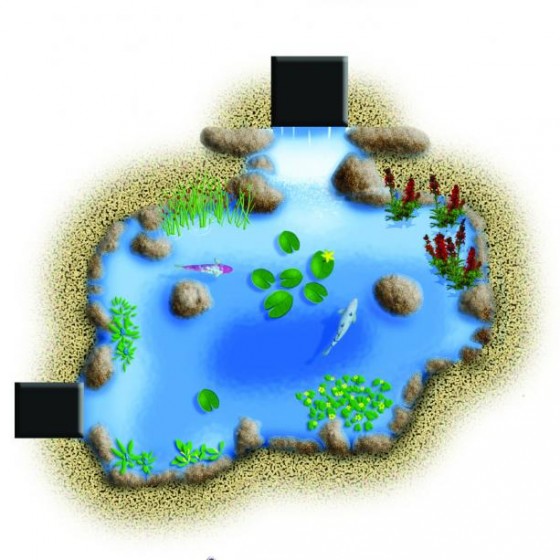 Backyard Pond Kits