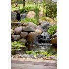 Clean, Clear, and Healthy Pond