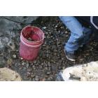 Breaks Down Debris in Ponds, Streams, and Waterfalls
