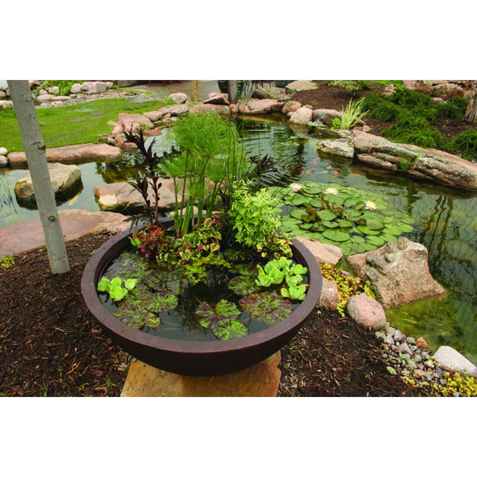 Aquatic Patio Ponds Aquatic Patio Ponds Fountainscapes Water