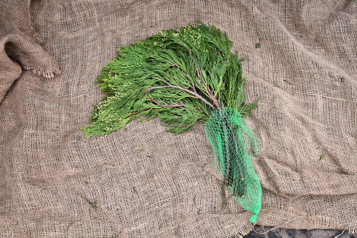 Fresh Cut Evergreens Fresh Greenery Christmas Plants & Flower...