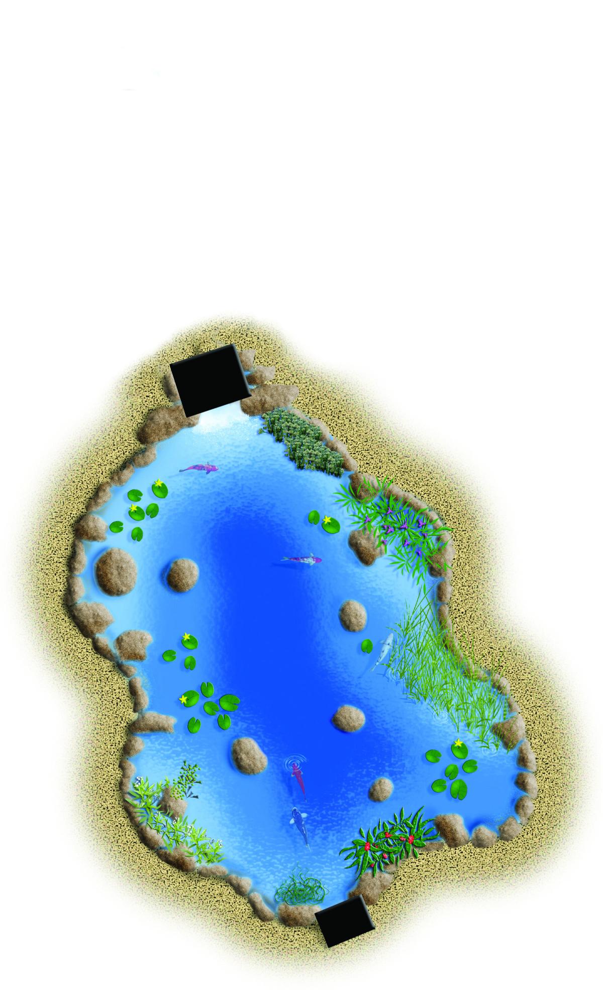 large pond kit 21 x 26_2