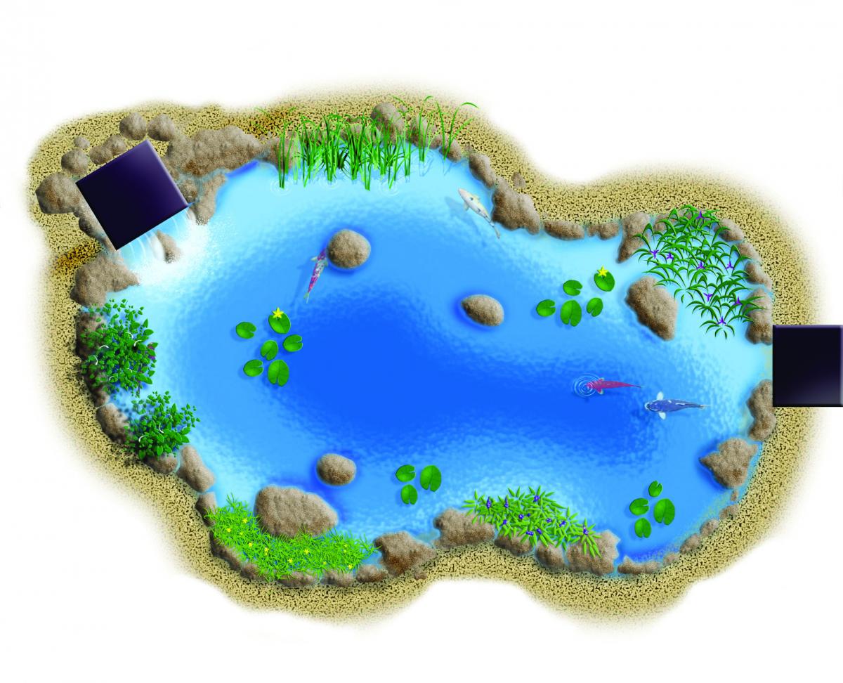 Medium Pond Kit 11' X 16' Backyard Pond Kits Water