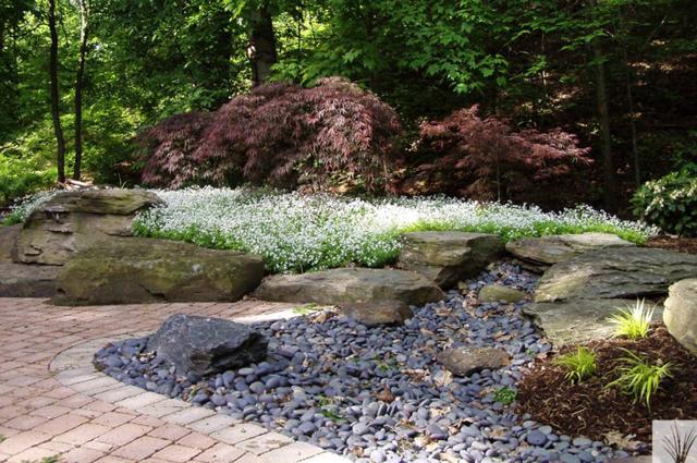 Mexican Beach Pebbles | Pond & Garden | Stone | Niemeyer's ...