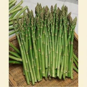 Asparagus 