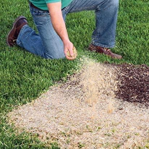 EZ Straw Mulch w/ Tackifier | Erosion Control | Lawn & Garden | Nie...