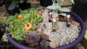 Fall/Halloween