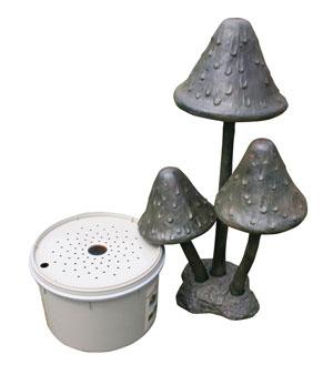 Giant Mushroom Kit
