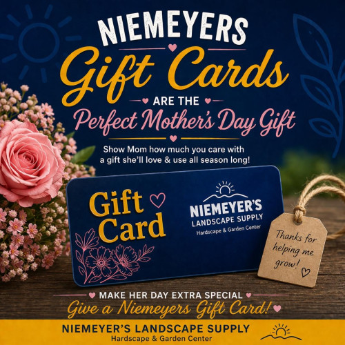 Gift Cards Mothers Day