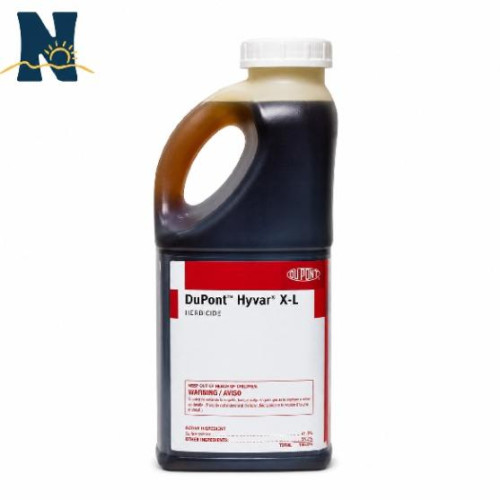 Hyvar XL Hyvar XL