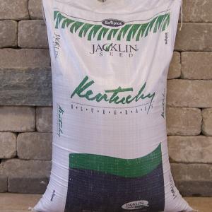 Kentucky Blue Grass Seed