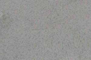 Grey Grey