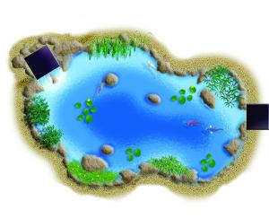 Medium Pond Kit 11 X 16 Backyard Pond Kits Water Garden Wat