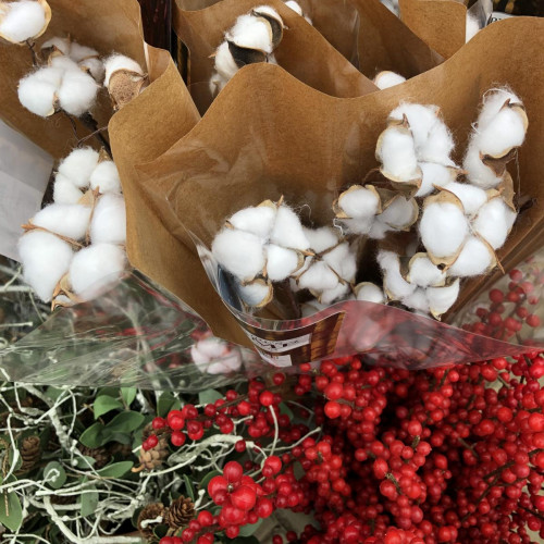 Natural Accents Natural Accents