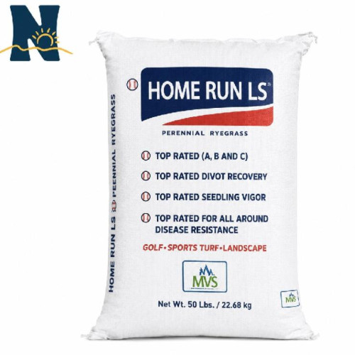 Perennial Rye Grass Seed