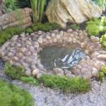 Pond