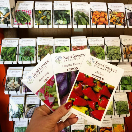 Garden Seeds Garden Seeds
