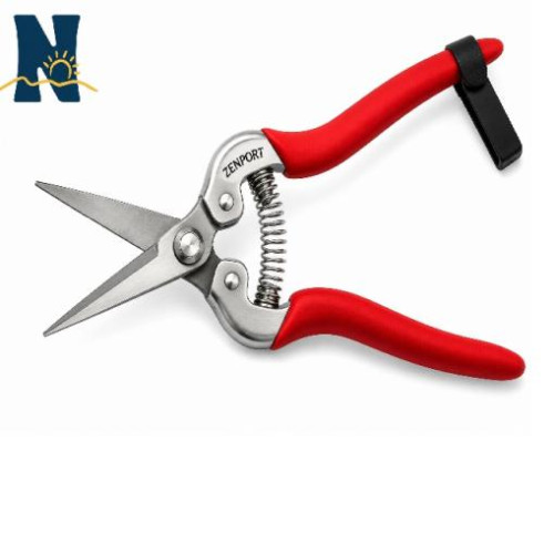Snips