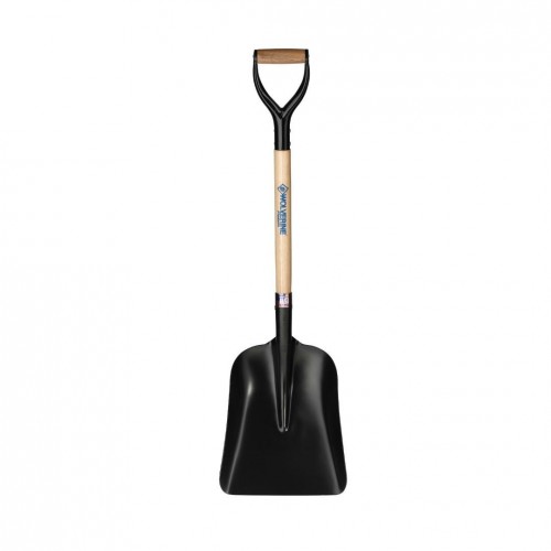Steel Scoop