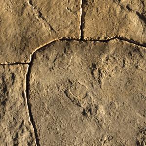 Fond Du Lac Fond Du Lac