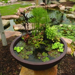 Aquatic Patio Ponds