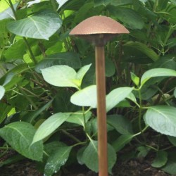 Craftsman Mushroom Pathway