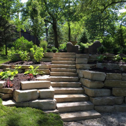 Eden 4\' Snapped Steps