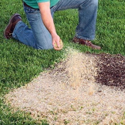 EZ Straw Lawn Repair Mix